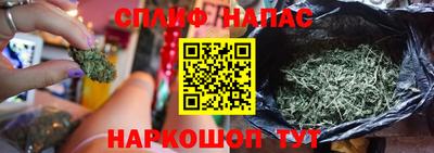 Альфа ПВП Обь