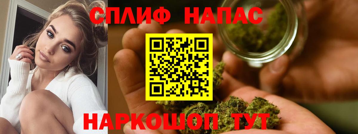 Бошки марихуана MAZAR Сибай